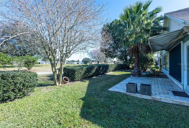 view of yard featuring a patio area