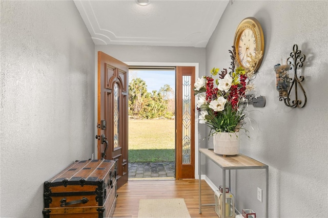 entrance foyer with light hardwood / wood-style floors