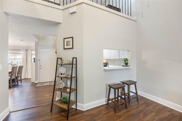 interior space featuring dark hardwood / wood-style flooring and a high ceiling