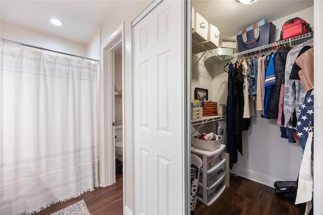 spacious closet featuring dark hardwood / wood-style flooring