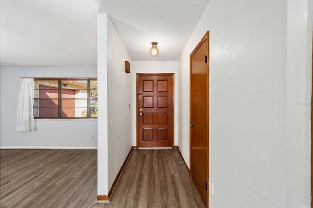 entryway with dark wood-type flooring