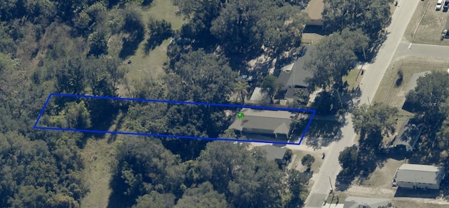 1118 Tuskegee St, Leesburg, FL 34748 - photo 15