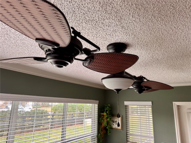 room details with ceiling fan and crown molding