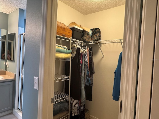 view of spacious closet