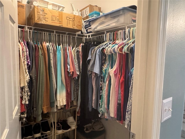 view of walk in closet