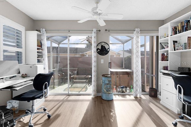 office area with ceiling fan, light hardwood / wood-style floors, and a textured ceiling