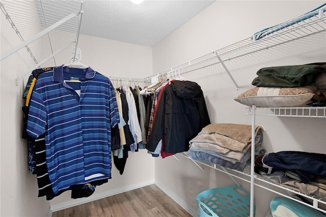 spacious closet featuring hardwood / wood-style flooring