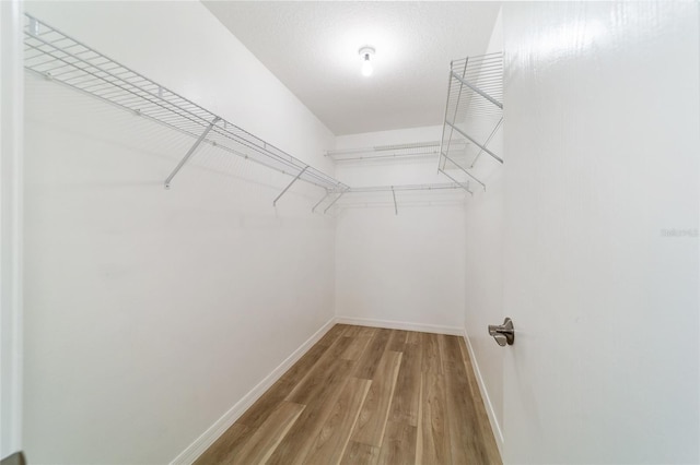 spacious closet featuring hardwood / wood-style floors