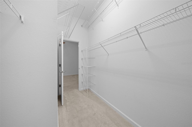 walk in closet featuring light colored carpet