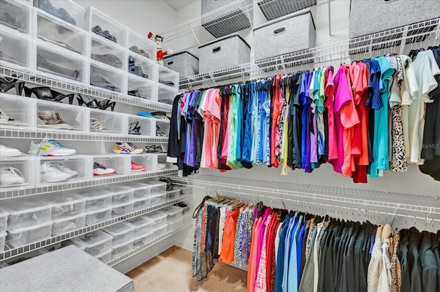 view of spacious closet