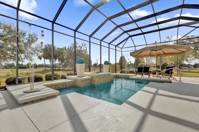 view of pool featuring a lanai and a patio