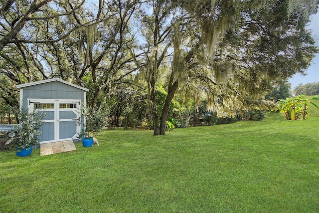 view of yard with a shed