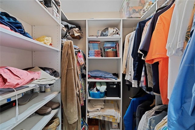 view of walk in closet