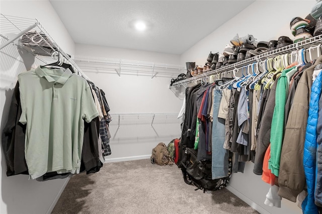 spacious closet featuring carpet floors