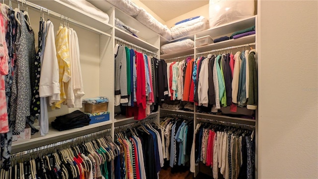 view of walk in closet