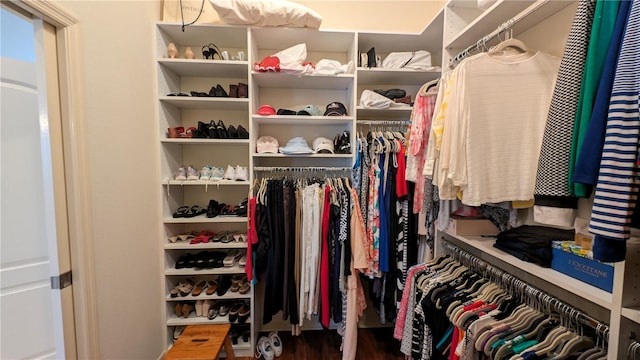 1881 Sassparilla Way, The Villages, FL 32162 - walk in closet with wood finished floors