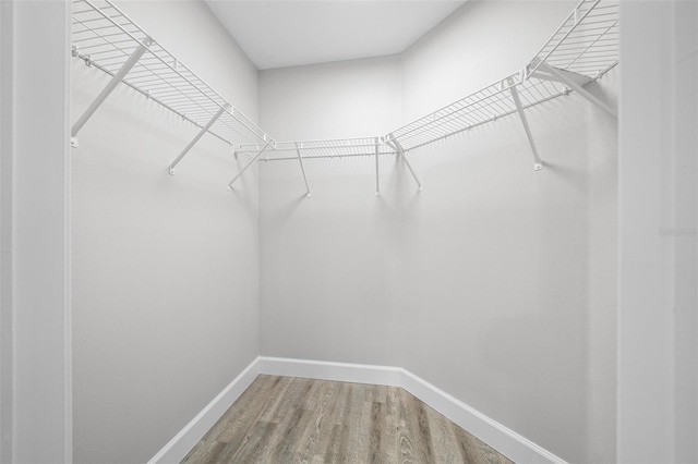 spacious closet with hardwood / wood-style floors