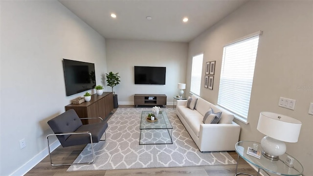 living room featuring hardwood / wood-style floors