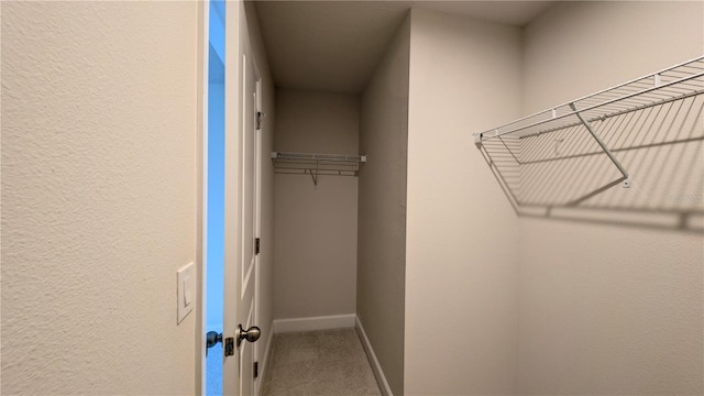 spacious closet featuring carpet floors