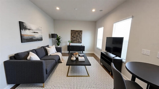 living room featuring hardwood / wood-style flooring