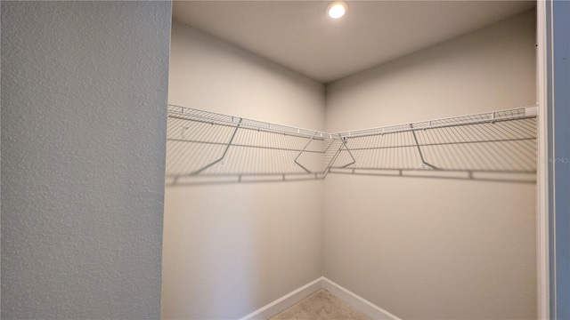 view of spacious closet