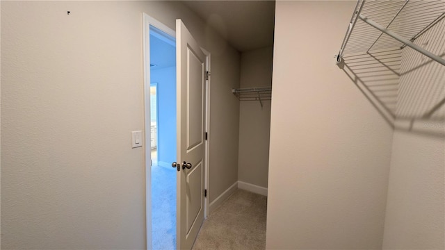 spacious closet featuring light carpet