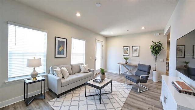 living room with light hardwood / wood-style floors and a wealth of natural light