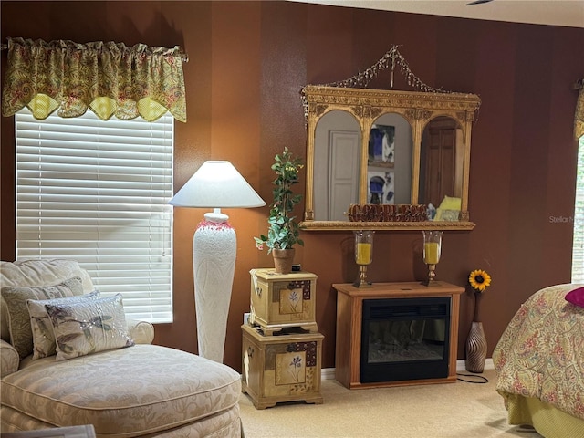 living area with carpet flooring