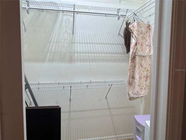 view of spacious closet