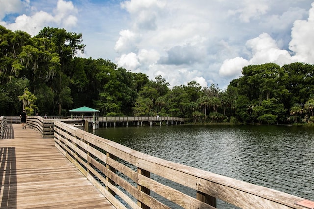 dock area with a water view