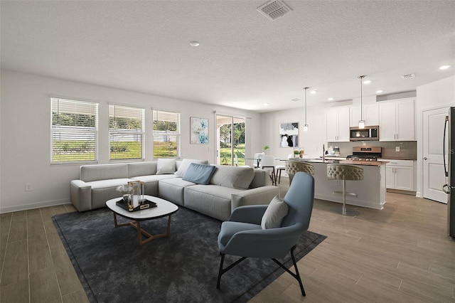 living room featuring sink, hardwood / wood-style floors, and a textured ceiling