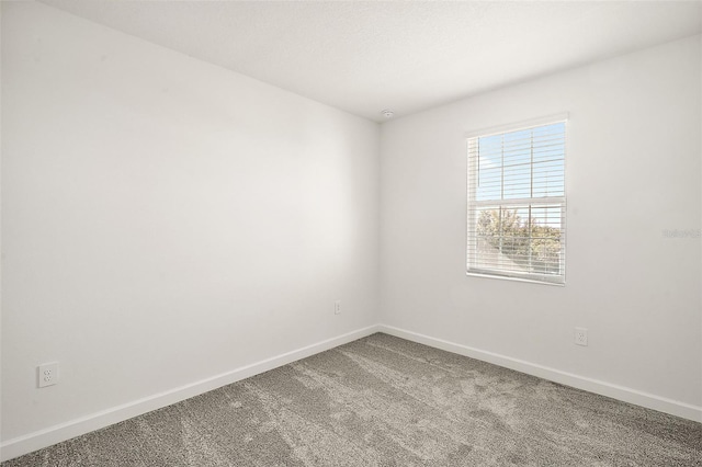 spare room with carpet floors