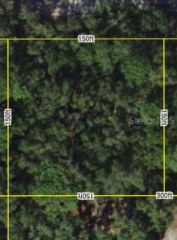 4819 SW 123rd Rd, Webster FL, 33597 land for sale