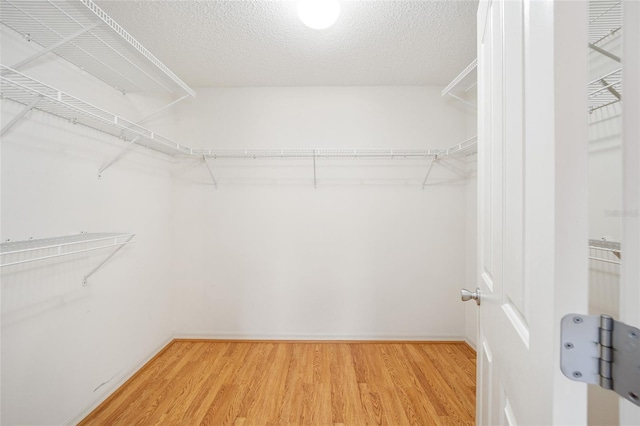 walk in closet with wood-type flooring