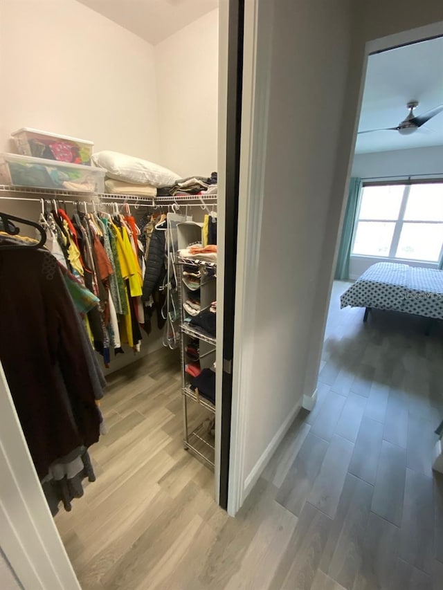 spacious closet with light hardwood / wood-style flooring and ceiling fan