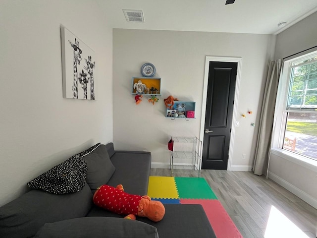 living room with light hardwood / wood-style floors