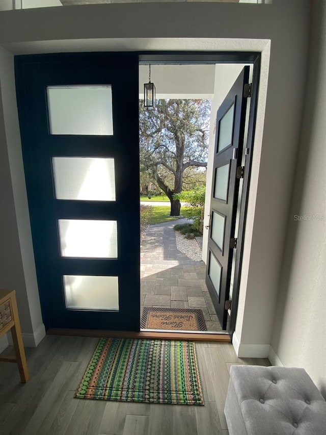 foyer featuring hardwood / wood-style floors