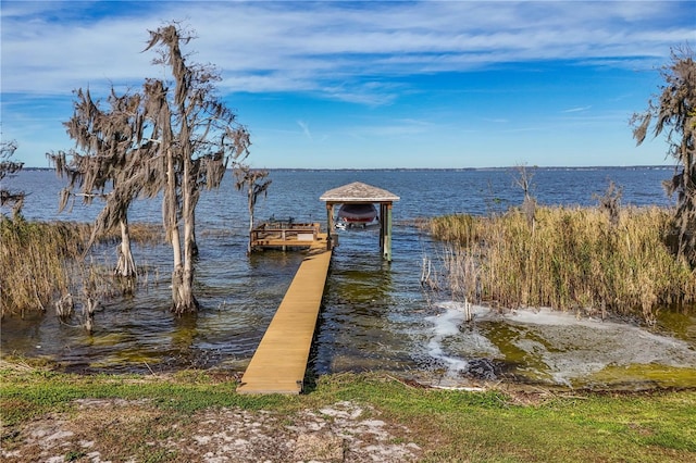 dock area with a water view