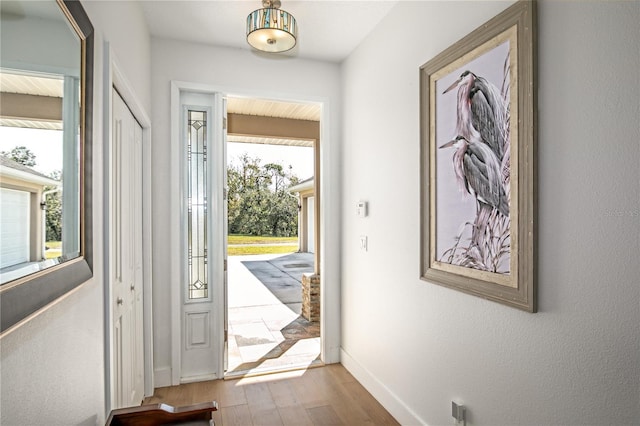 entryway featuring light hardwood / wood-style floors and a wealth of natural light