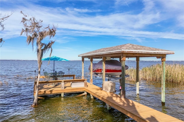 dock area with a water view