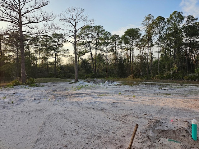 view of local wilderness