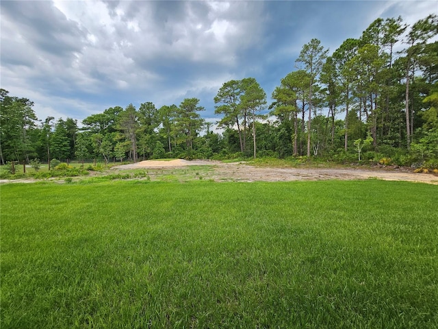 42157 Tamarac St, Eustis, FL 32736 - view of grassy yard