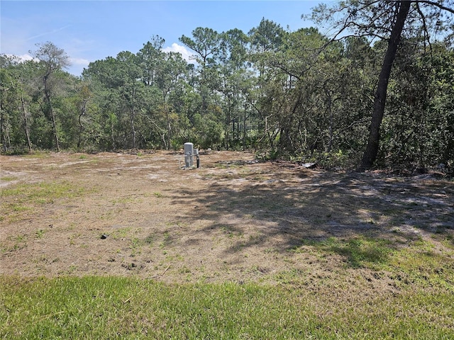 42200 Chinaberry St, Eustis, FL 32736 - view of yard with a wooded view