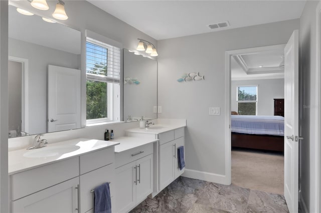 bathroom with vanity, a raised ceiling, and crown molding