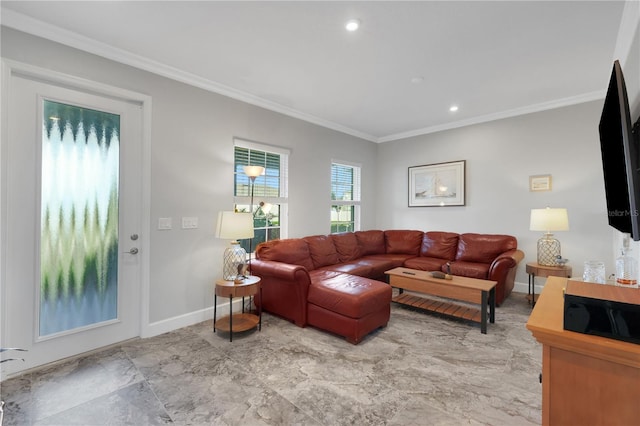 living room with ornamental molding