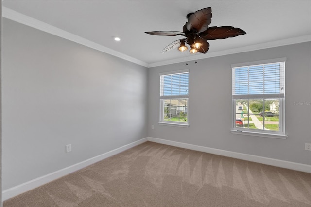 carpeted empty room with ceiling fan and ornamental molding