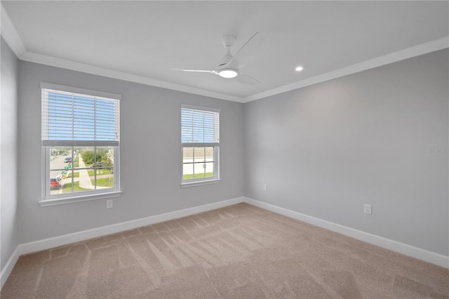 carpeted empty room with ceiling fan and crown molding