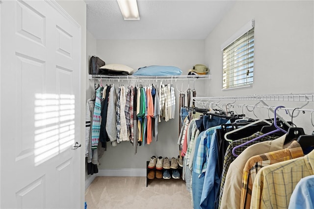 walk in closet with light colored carpet