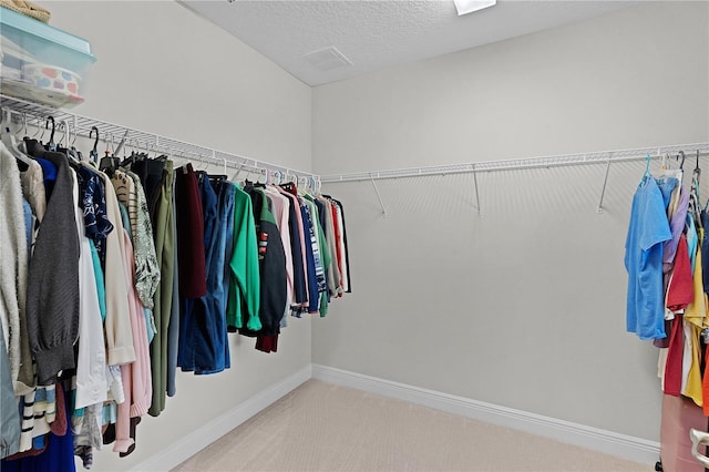 spacious closet featuring carpet