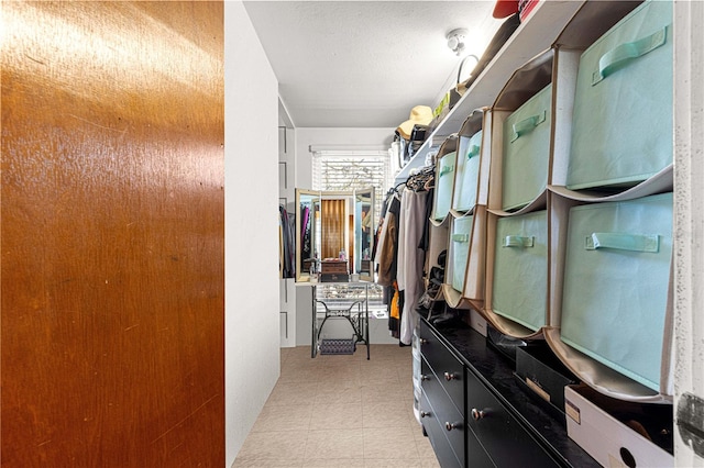 view of walk in closet